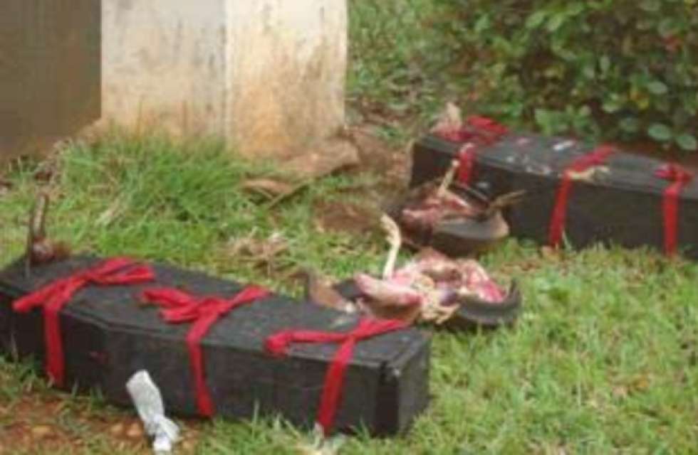 4-Yr Old Boy Found Dead in Kenema With Body Parts Removed