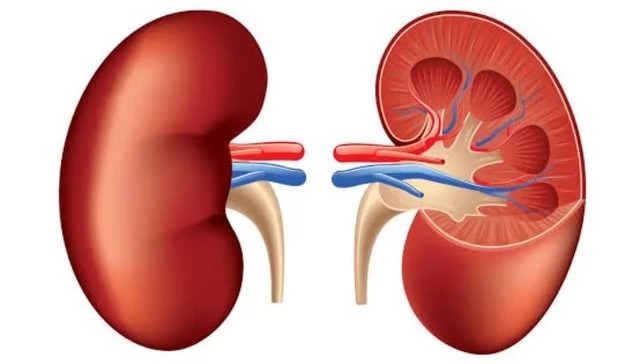 4 Foods You Should Stop Eating at Night to Prevent Kidney Problems