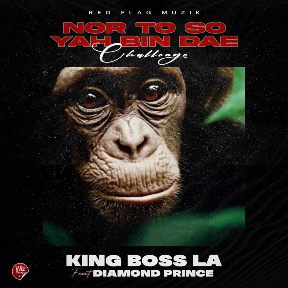 Diamond Prince – Nor to so Yah Bin Dae Ft Boss La