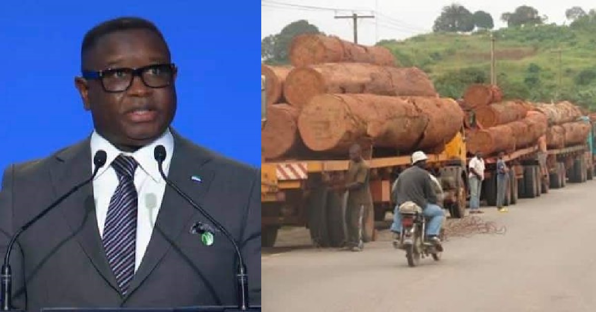 As The World Meets to Fight Climate Change, Leadway Announces to Resume in-Country Timber Transportation in Sierra Leone