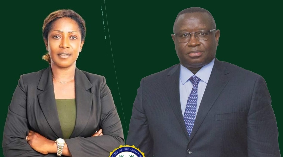 Is Dr. Patricia Nyanga Laverley Still The Deputy Minister of Finance After Her Appointment at The African Development Bank?