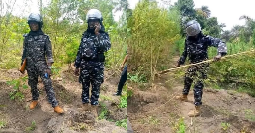 Two Die After Armed Attack in Tambakha