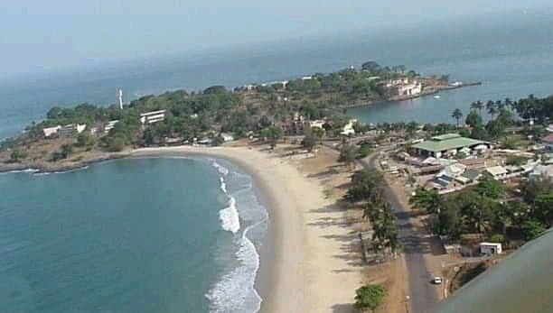 Dead Bodies Swim at Goderich  Beach
