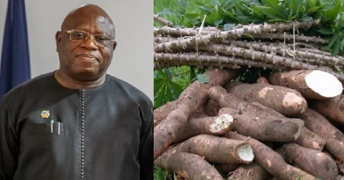 New Virus Hits Cassava