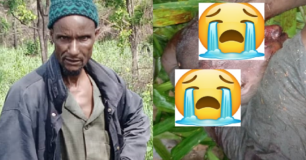 Fulah Man Kills One Kono Man For Alleged Cow Theft