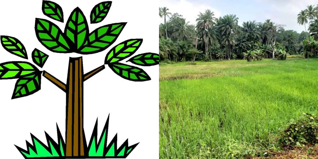 Green Scenery Expresses Concern Over the Restriction of Freedom of Expression of Land Activists