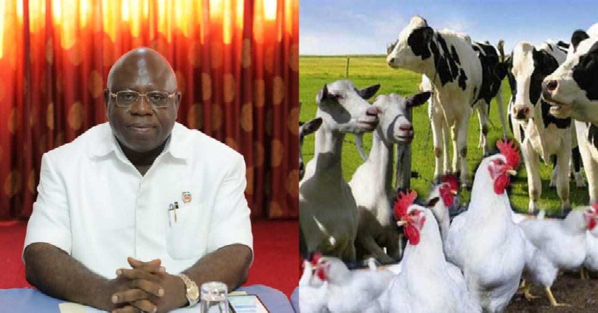Ministry of Agriculture Gives New Animal Traveling Directives