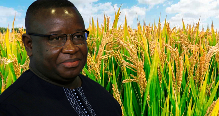 African Development Fund Approves $2 Million Grant to Boost Food Production in Sierra Leone