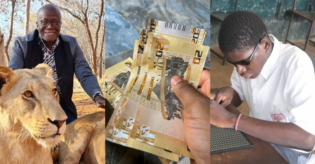 Visually  Impaired  Face Difficulty in Using New Leone