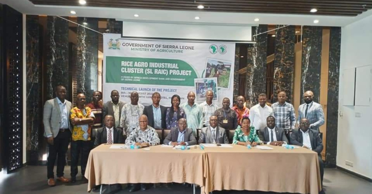 JUST IN: ADB Approves $36 Million Rice Project for Sierra Leone