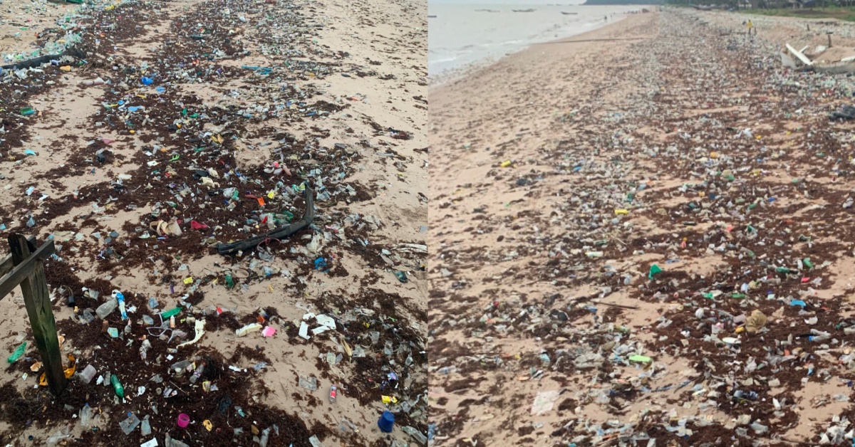 Ministry of Tourism and Partner Respond to Massive Deposit of Waste Along Lumley Beach