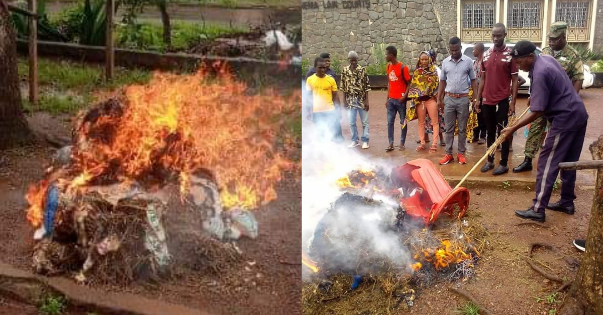 Judiciary of Sierra Leone Authorized Destruction of Cannabis