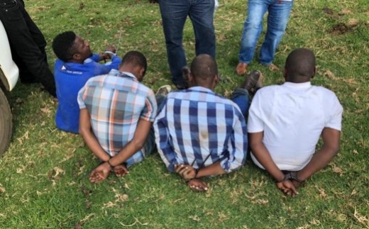 Six Arrested Over Cattle Theft in BO