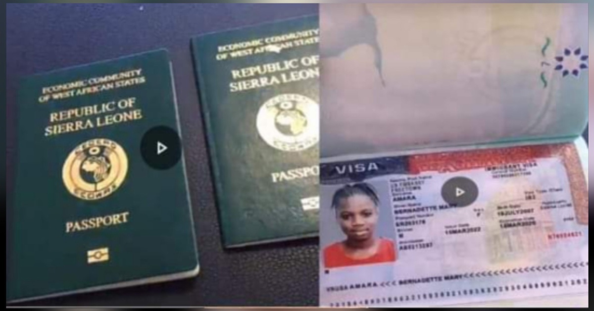 Large-Scale Visas, Passports and Scholarships Scam Uncovered By Foreign Ministry