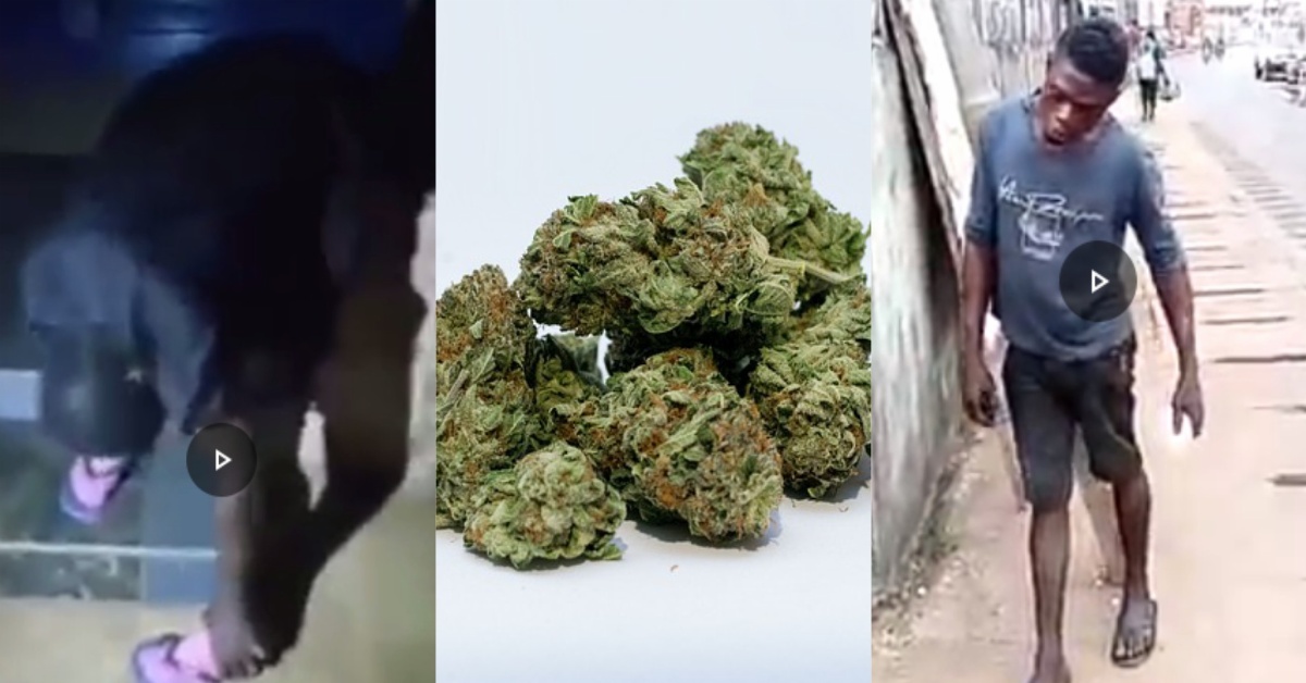 OPINION – Kush Posses a Threat to The Sanity And Well Being of Youths in Sierra Leone