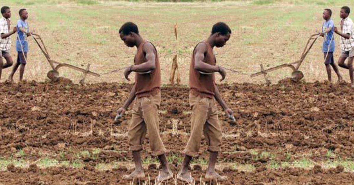 United Nations Research Shows 81% of Sierra Leonean Family Are Hungry