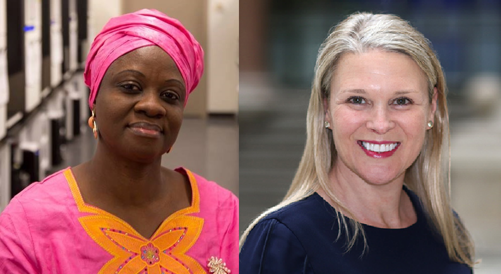APC Convention: Sylvia Blyden Cautions UK High Commissioner Over Alleged Interference