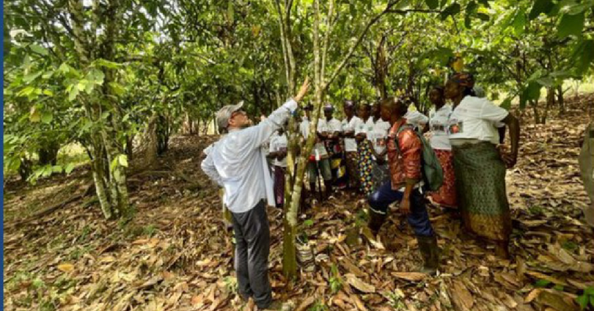 EU Empowers Farmers in Kenema District