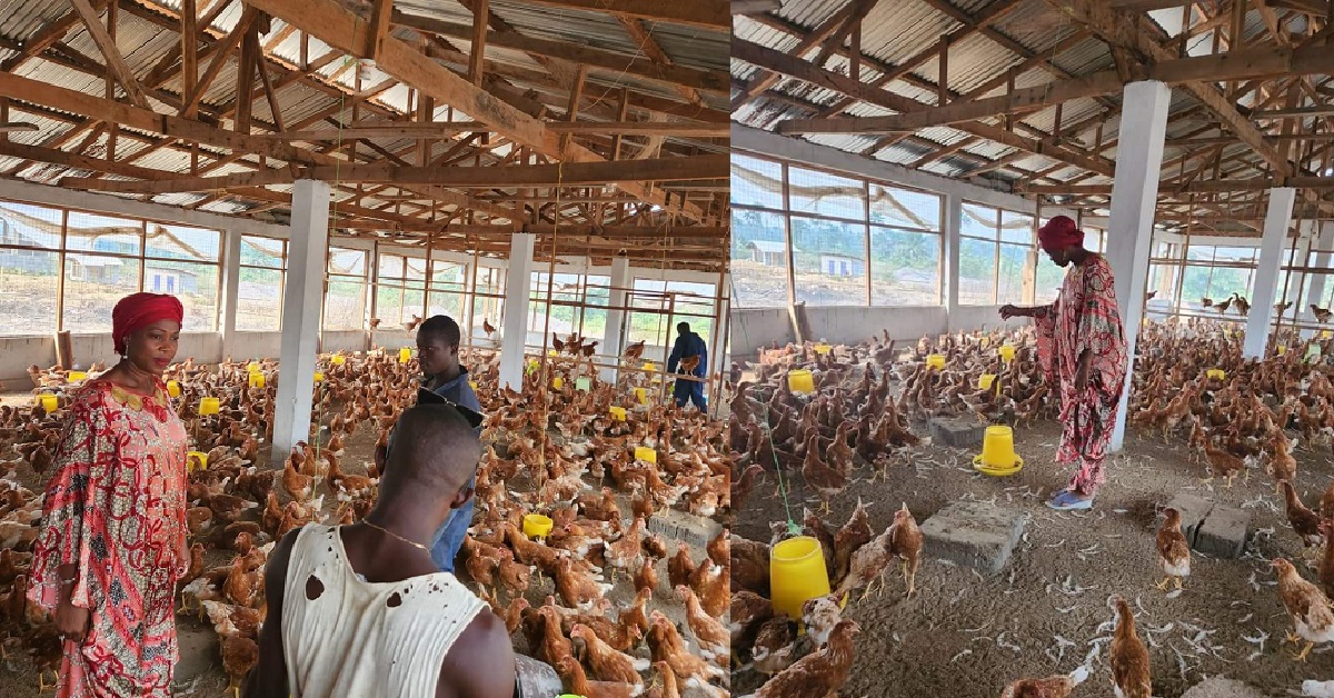 First Lady Fatima Bio Promotes Agricultural Development in Sierra Leone