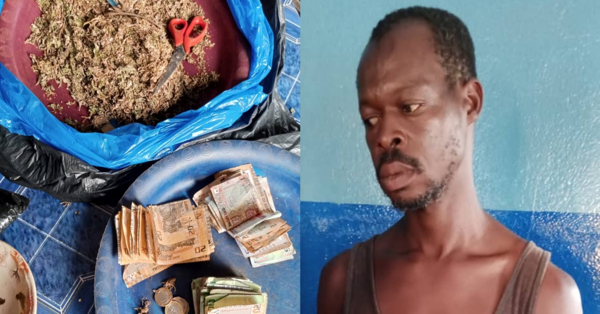 Police Arrests Man With Suspected Cannabis Sativa