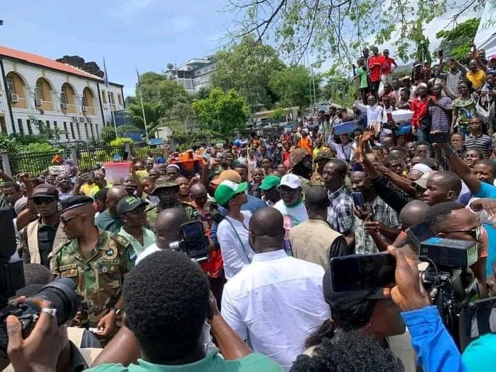 Bio at Fallen Cotton Tree