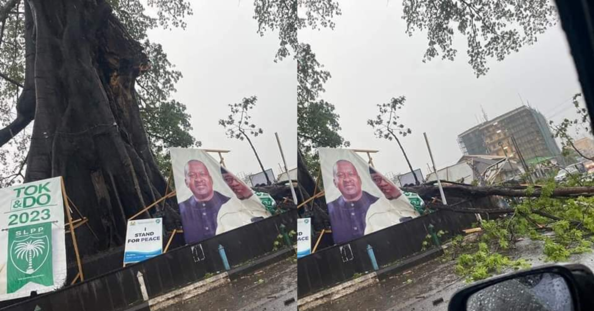 BREAKING: Portion of Cotton Tree Downed