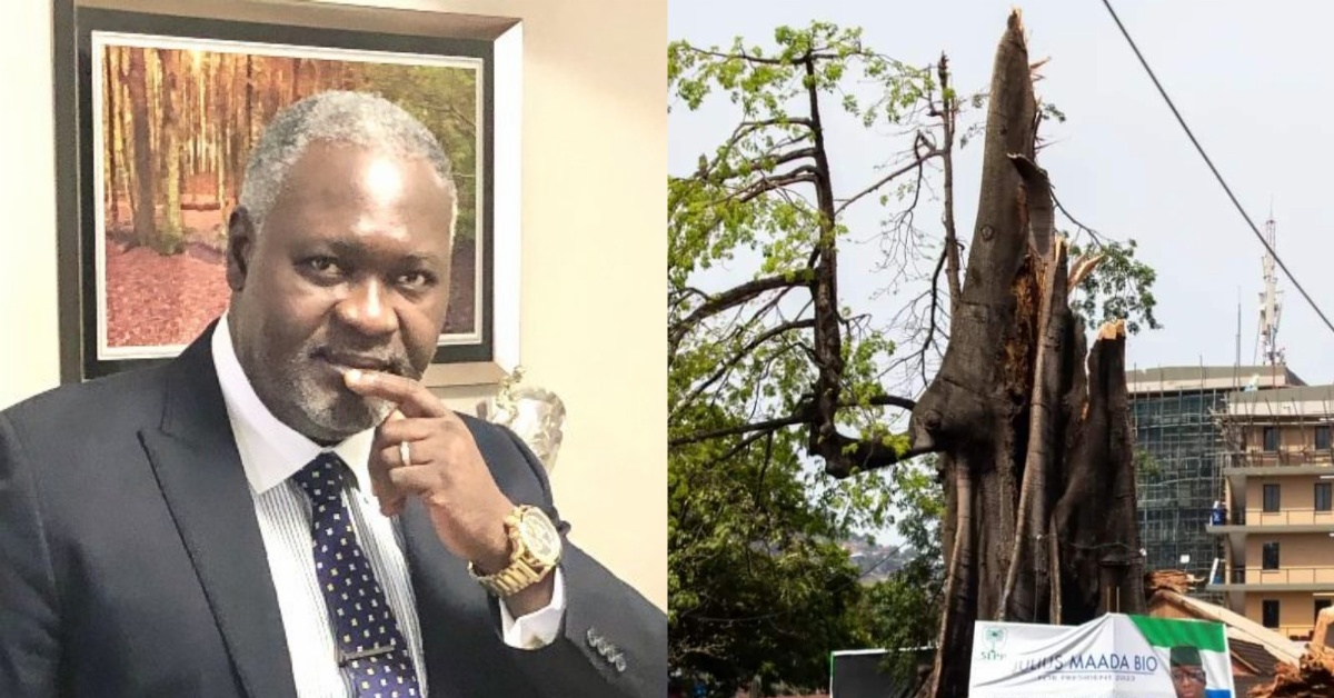 Cotton Tree’s Fall Signals Change of ‘Bio’s’ Regime – JFK