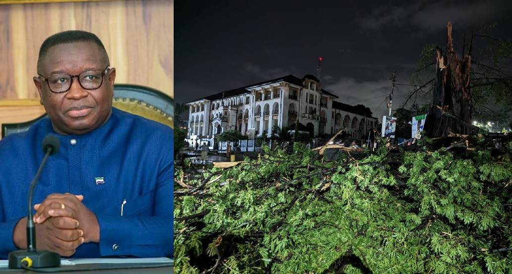 President Bio Speaks on Fall of Historic Cotton Tree