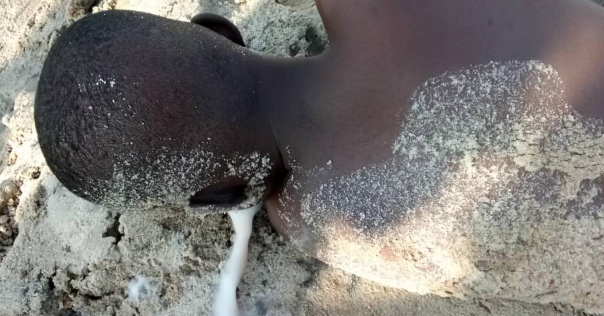 Drowning Incident Claims Life of 12-Year-Old Boy in Waterloo