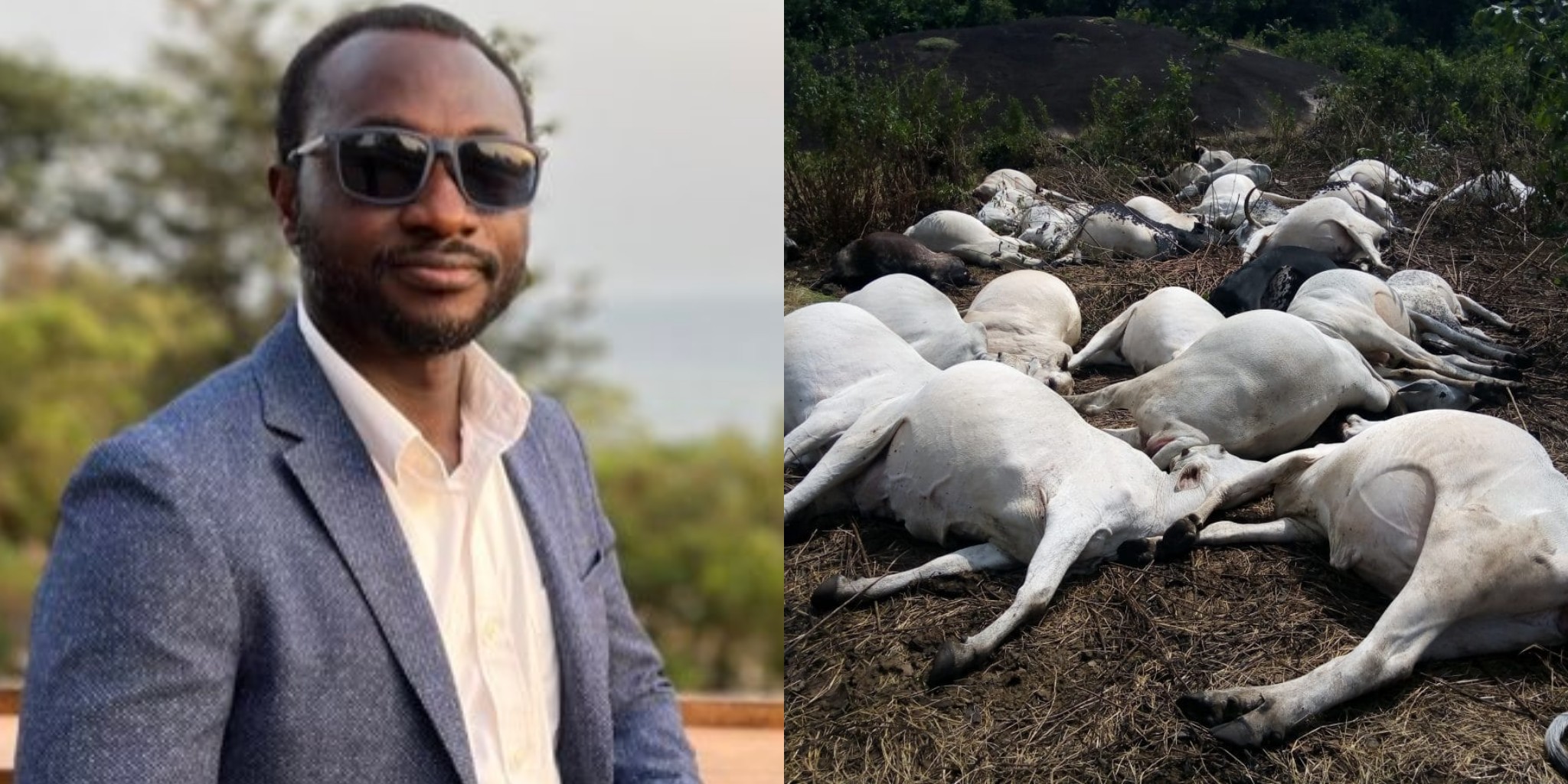 MAFS Implements Measures to Control Livestock Movement Following Cattle Deaths in Foyah District