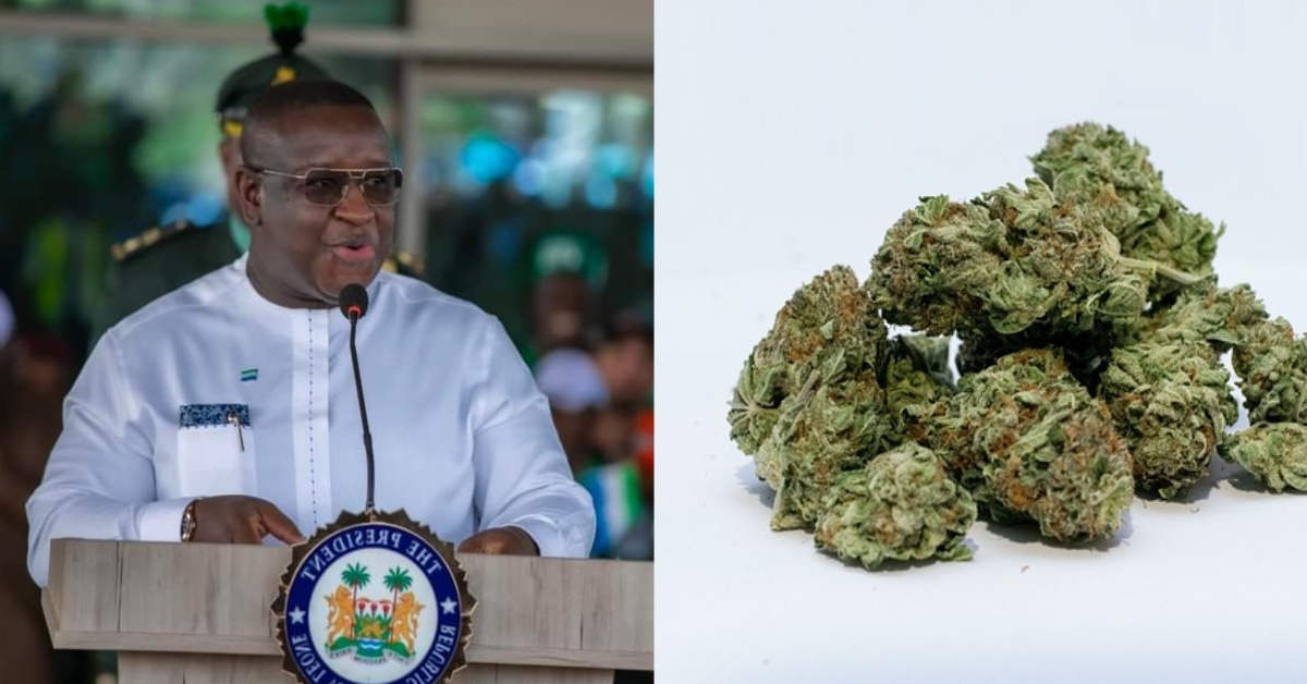 As Kush is Killing Sierra Leone’s Future… Bio And Co Cannot Pretend Anymore
