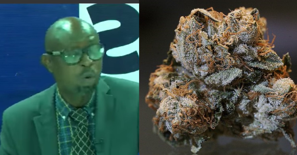 Executive Director of Social Linkages for Youth Development and Child Link Unveils Strategy to Combat Youth Drug Abuse Epidemic in Sierra Leone