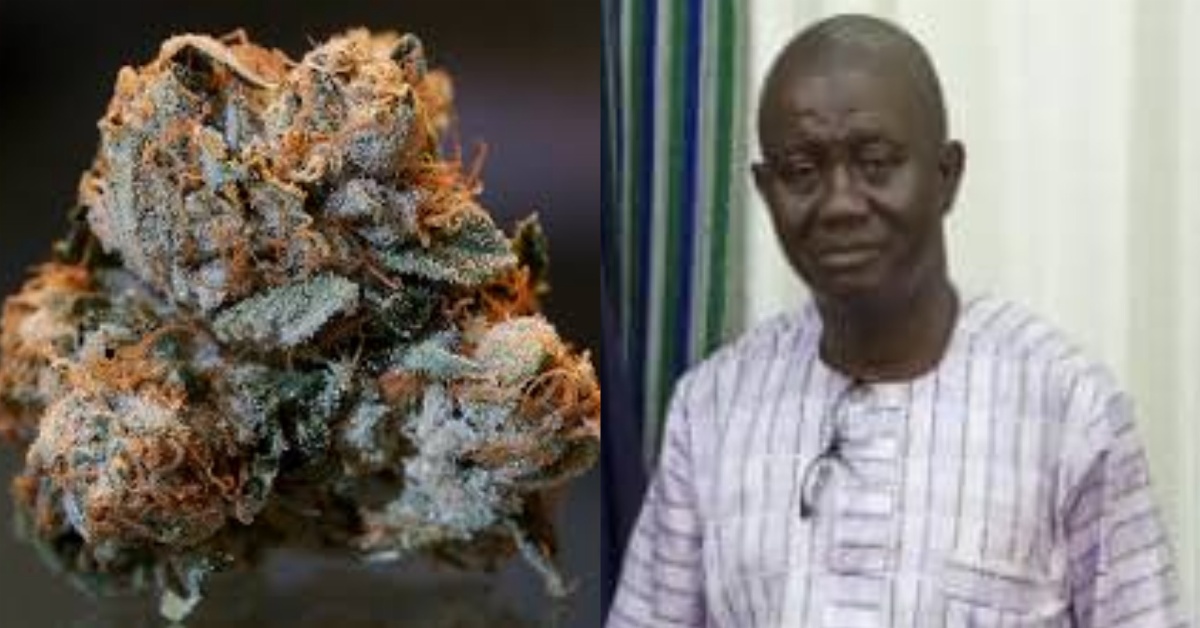 Pujehun District Council Chairman Vows to Tackle Kush Sales