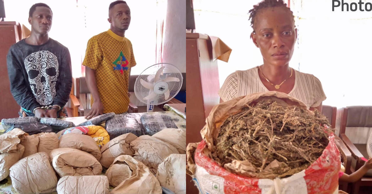 Vehicle Laden With Kush And Cannabis Intercepted at Sierra Leone-Guinea Border