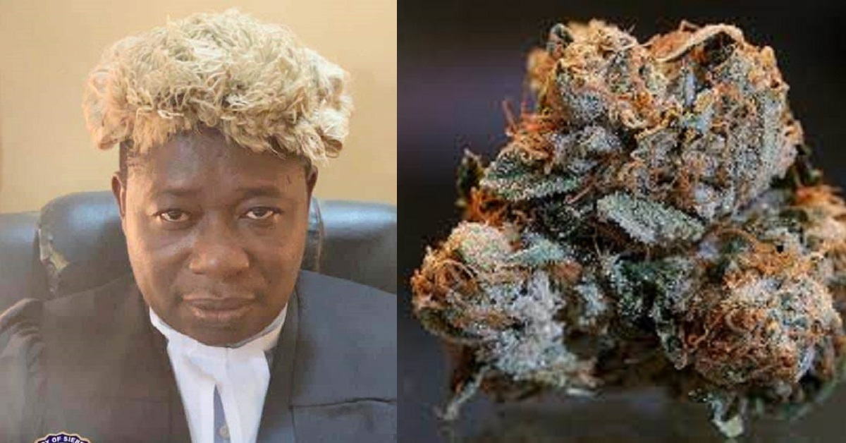 52 Accused Remanded for Kush Smoking