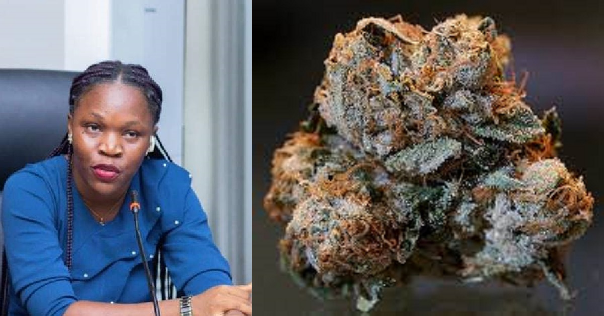 Feminist Activist Raises Concerns Over High Drug Addiction Rates Among Women in Sierra Leone