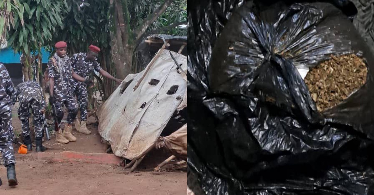 Waterloo Police Arrest Over 60 People in Drug Raid