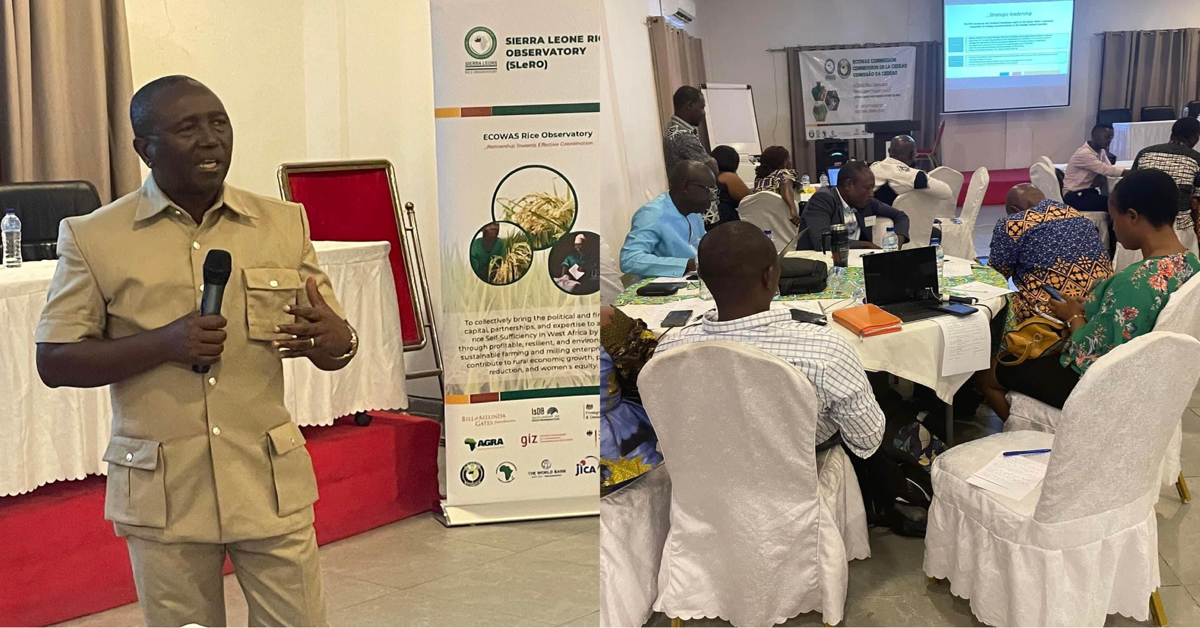 Agriculture Minister to Launch Sierra Leone Rice Observatory (SLeRO) for Nationwide Coordination