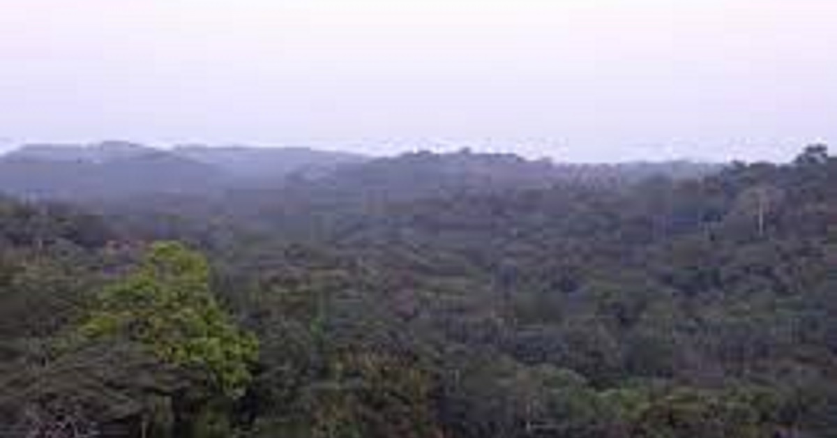 EPA Shuts Down J.M Mining Operations in Kenema Kambui Hills