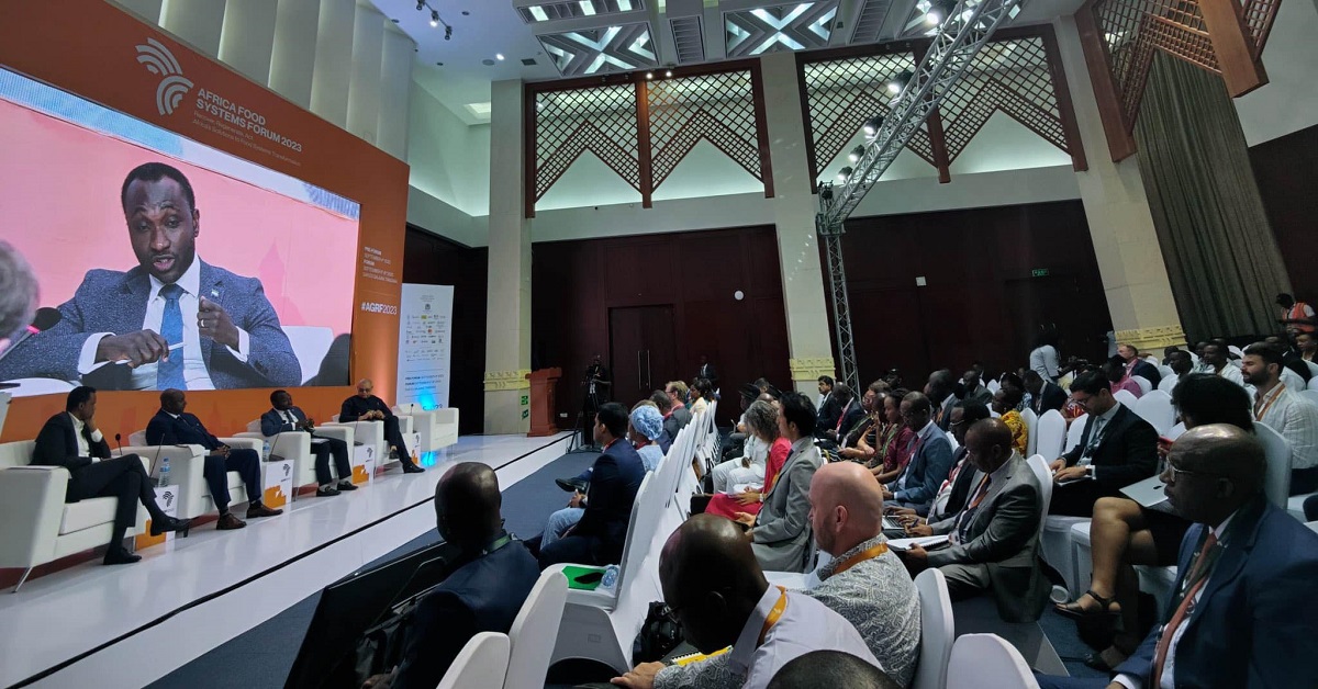 Sierra Leone’s Agriculture Minister Presents FEED SALONE Strategy at Africa Food Systems Forum