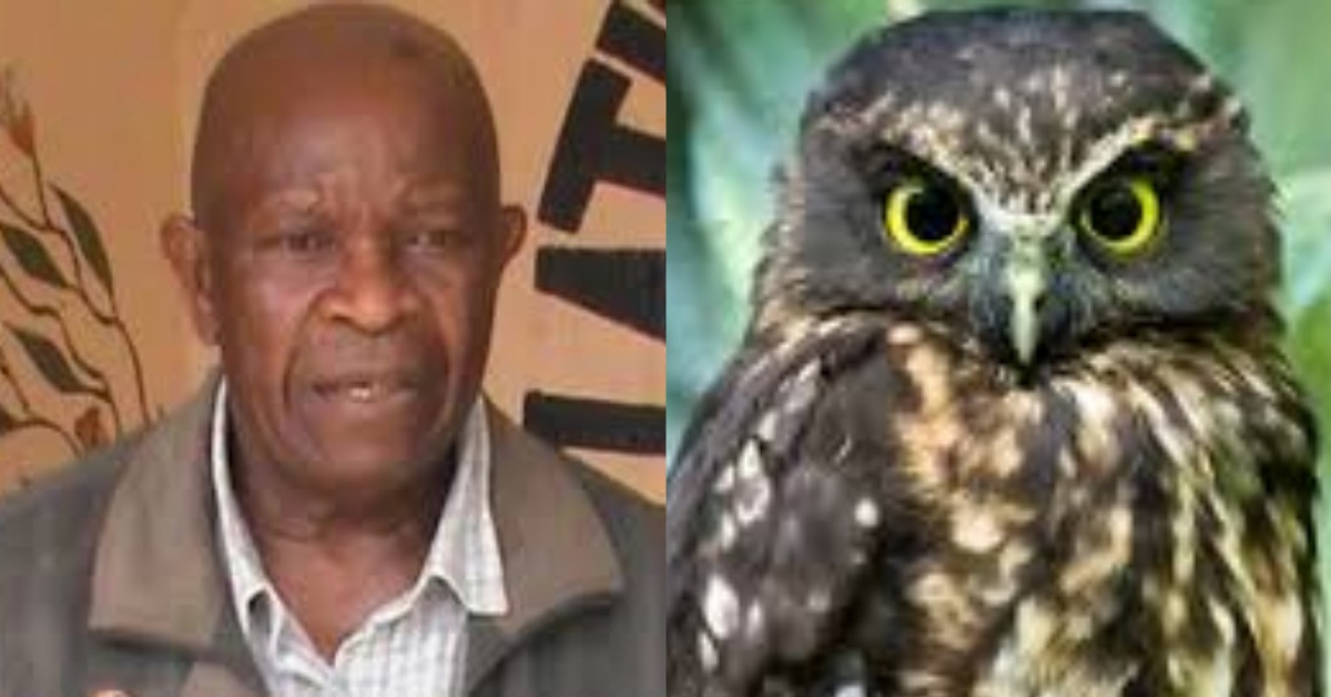 Government Pathologist Dr. Simone Owizz Koroma Attacked by Witch Bird
