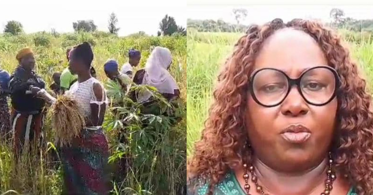 Hon. Hawa Akpajie Kallon Boosts Food Security in Pujehun District