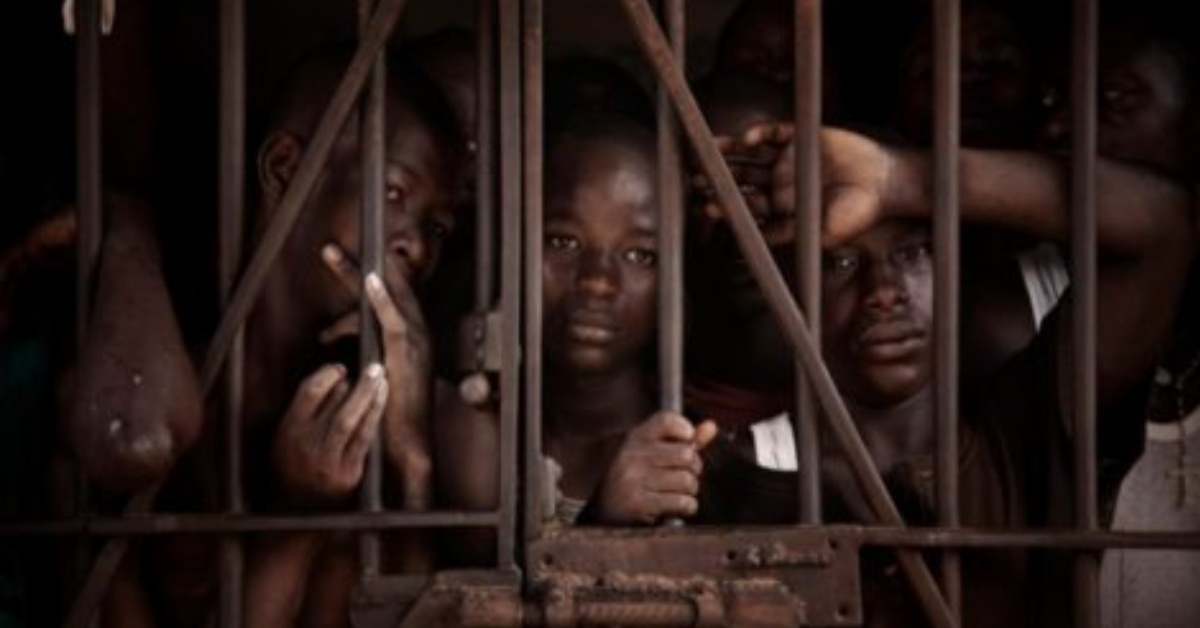 22-Year-Old Welder Arrested For Stealing Six Ram Sheep