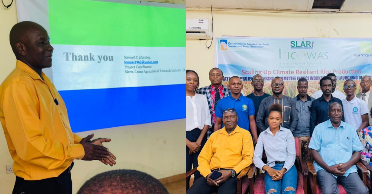 SLARI Unveils RICOWAS Project: Enhancing Climate-Resilient Rice Production in Sierra Leone