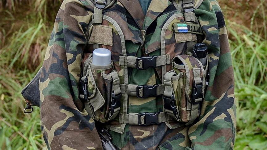 Sierra Leone Security Forces to Cultivate 25% of Rice Needs From 2024