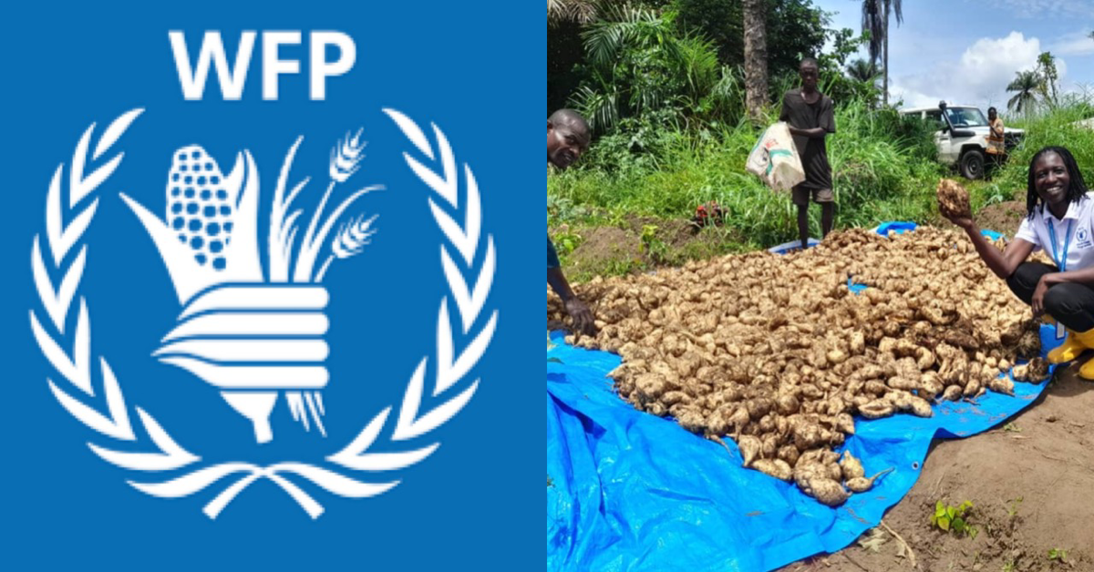 World Food Programme Boosts School Nutrition Program in Sierra Leone Districts
