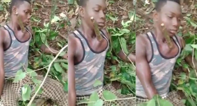 Accident in Pujehun District: Farmer Injured After Falling From Tree