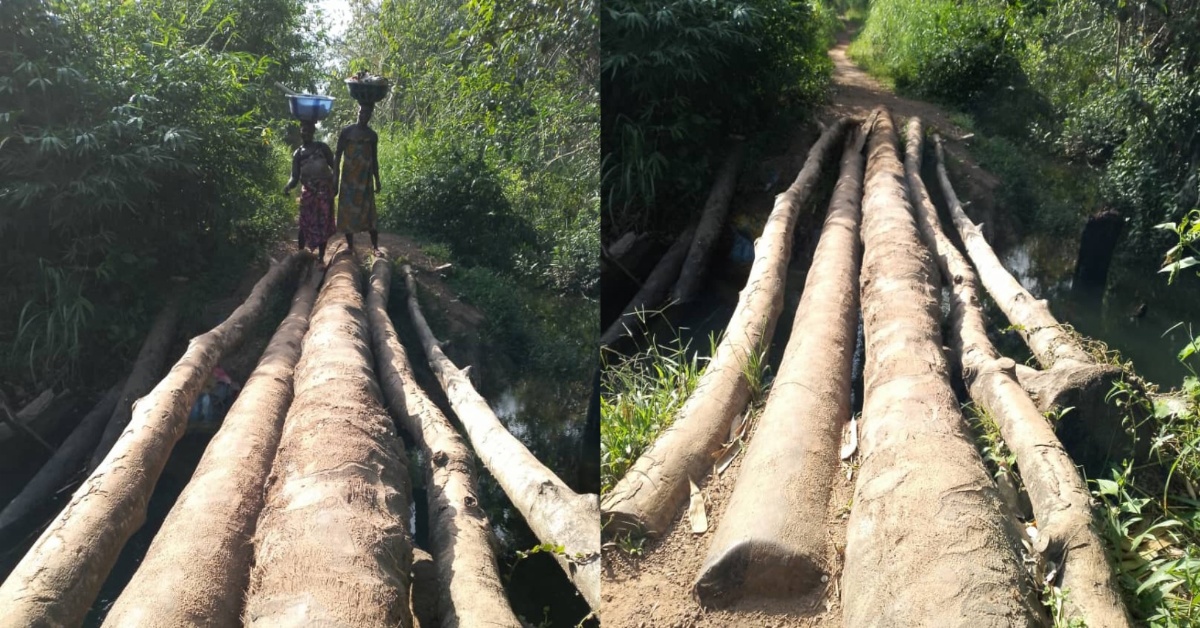 Neglected Magbokie Bridge Makes Life Difficult for Residents of Kholifa Mabang Chiefdom