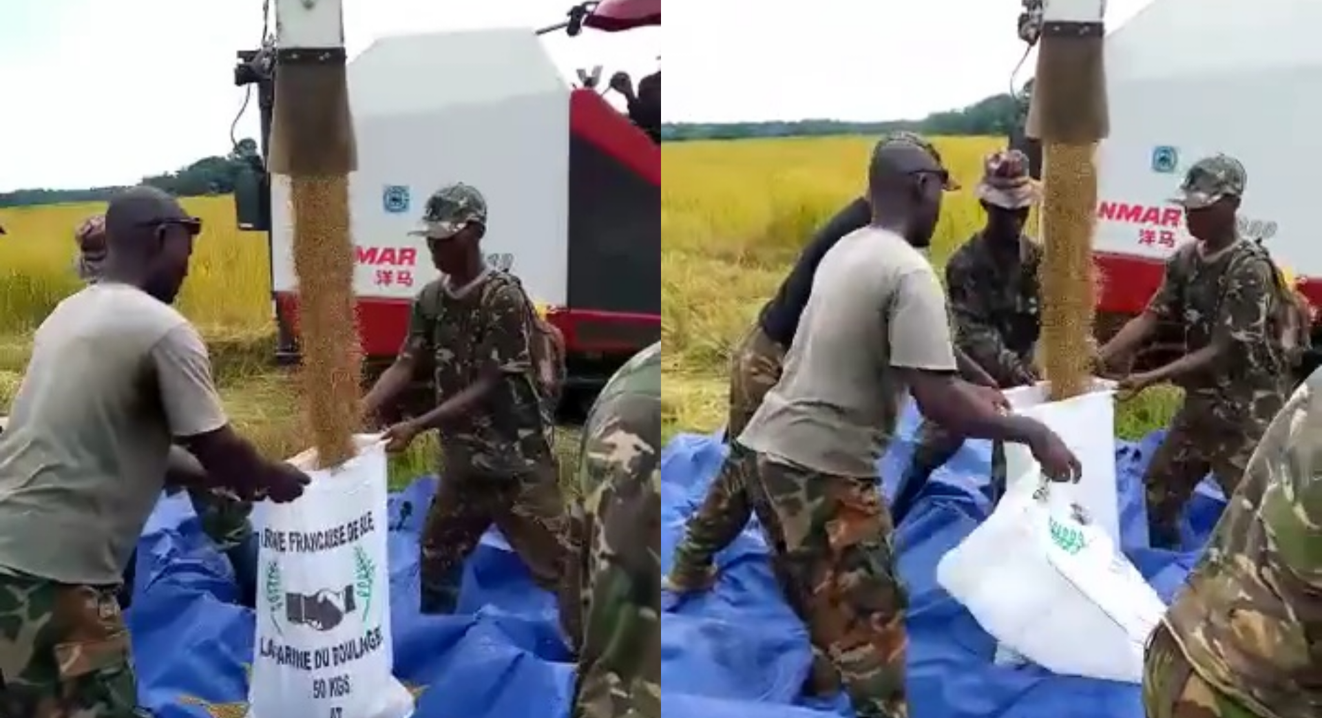 Sierra Leone Military Officials Venture Into Rice Production