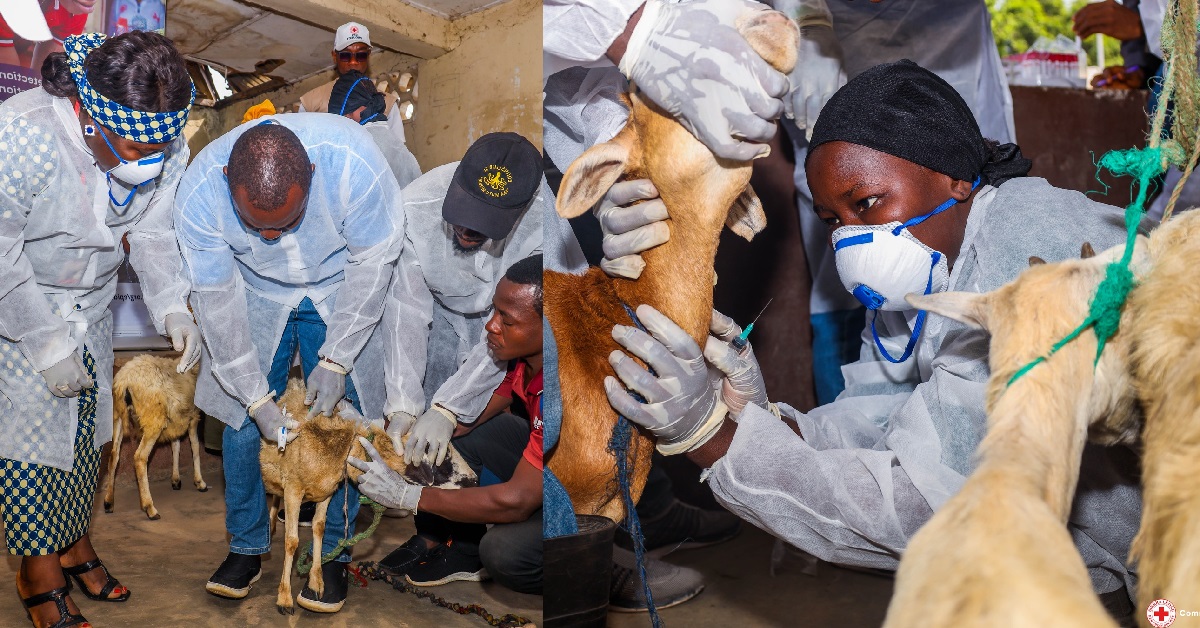 Sierra Leone Red Cross Launches Vaccination Campaign in Two Districts